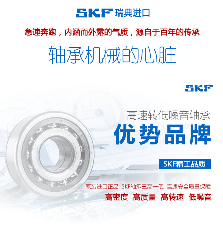 SKF瑞典进口